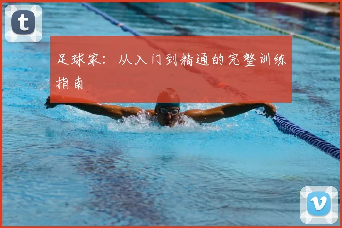 足球家：从入门到精通的完整训练指南